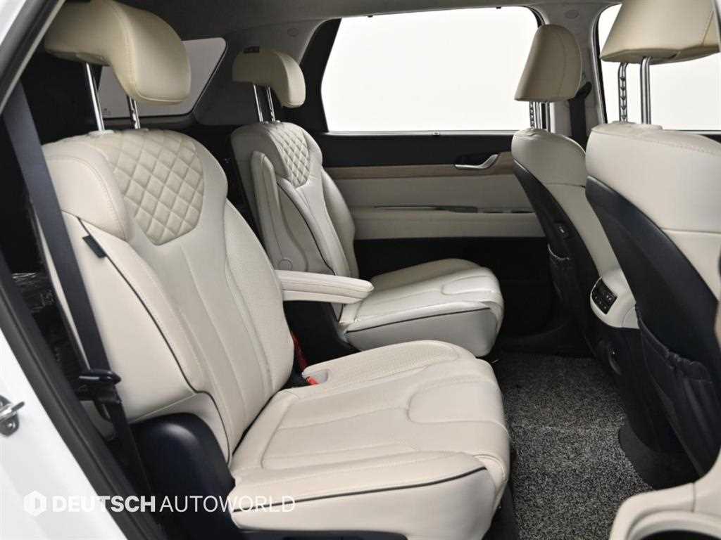 Hyundai Palisade — photo 12