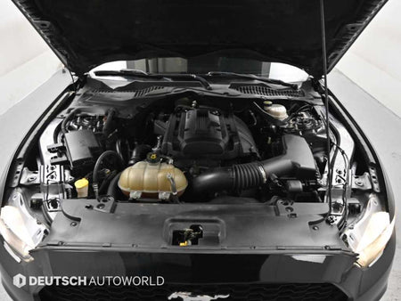 Ford Mustang — photo 06