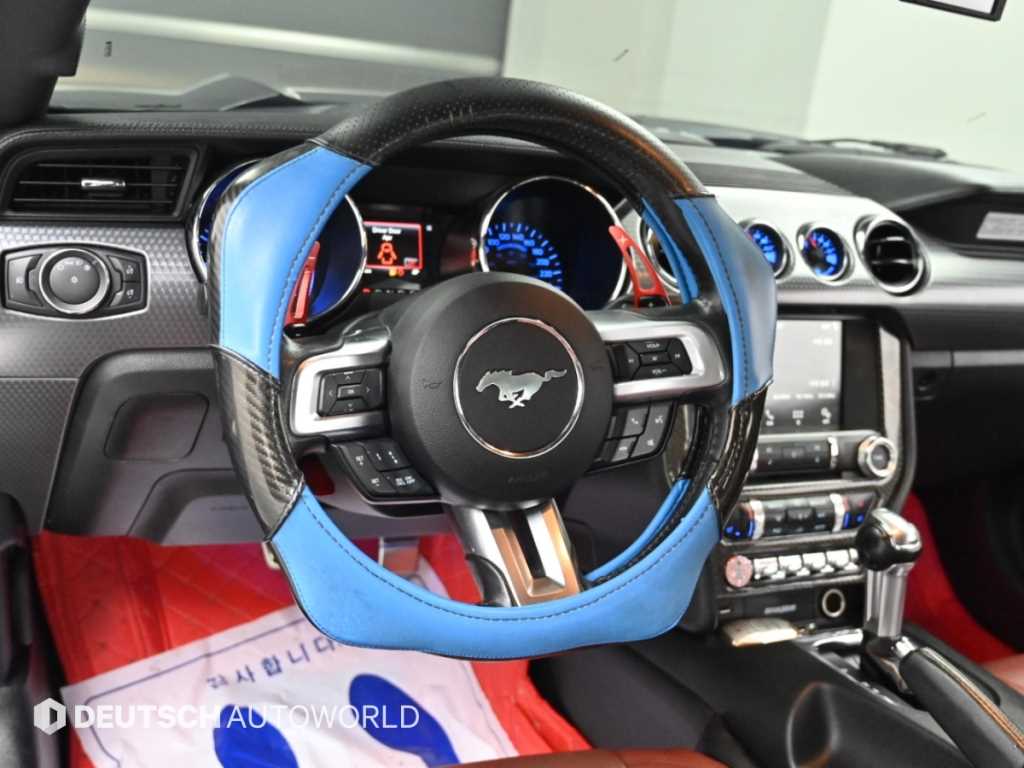 Ford Mustang — photo 13