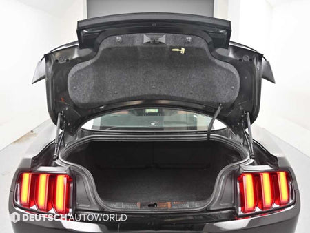 Ford Mustang — photo 19