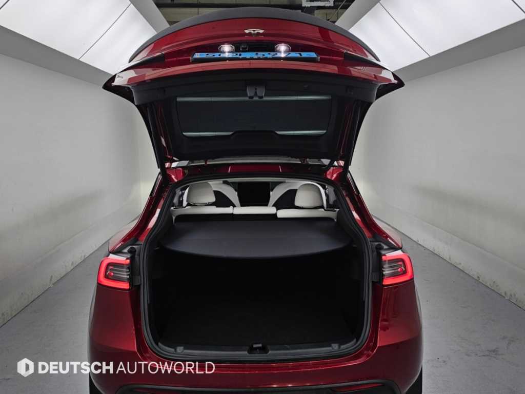 Tesla Model Y — photo 19