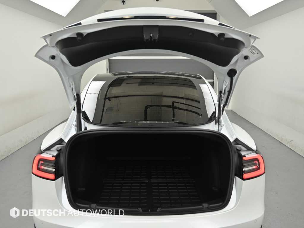 Tesla Model 3 — photo 19
