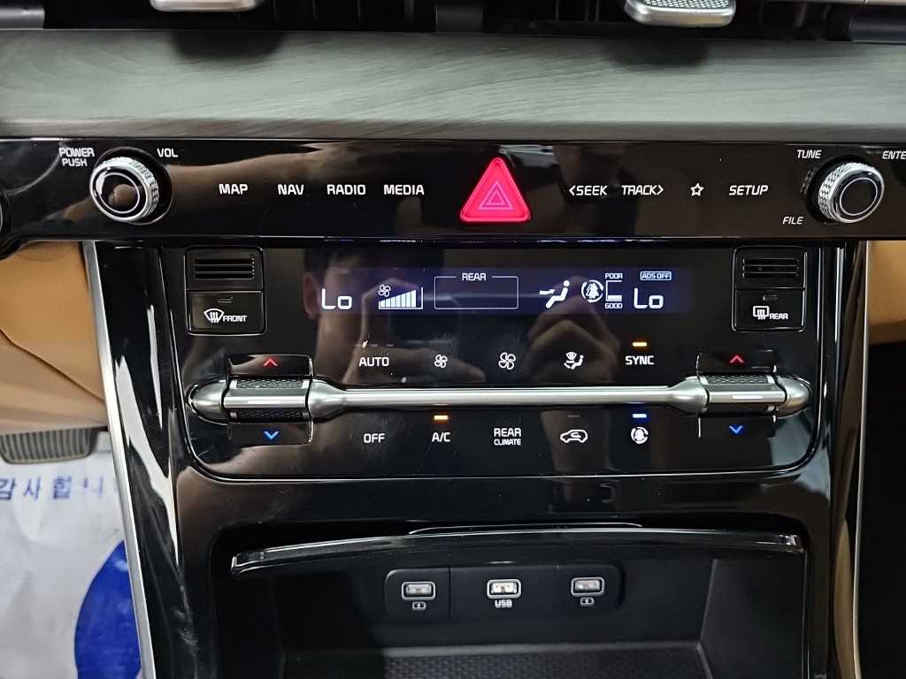 Kia Carnival — photo 10