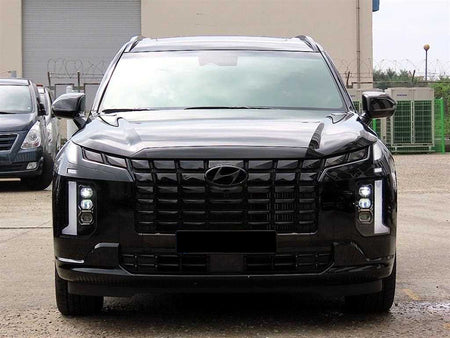 Hyundai Palisade — photo 01