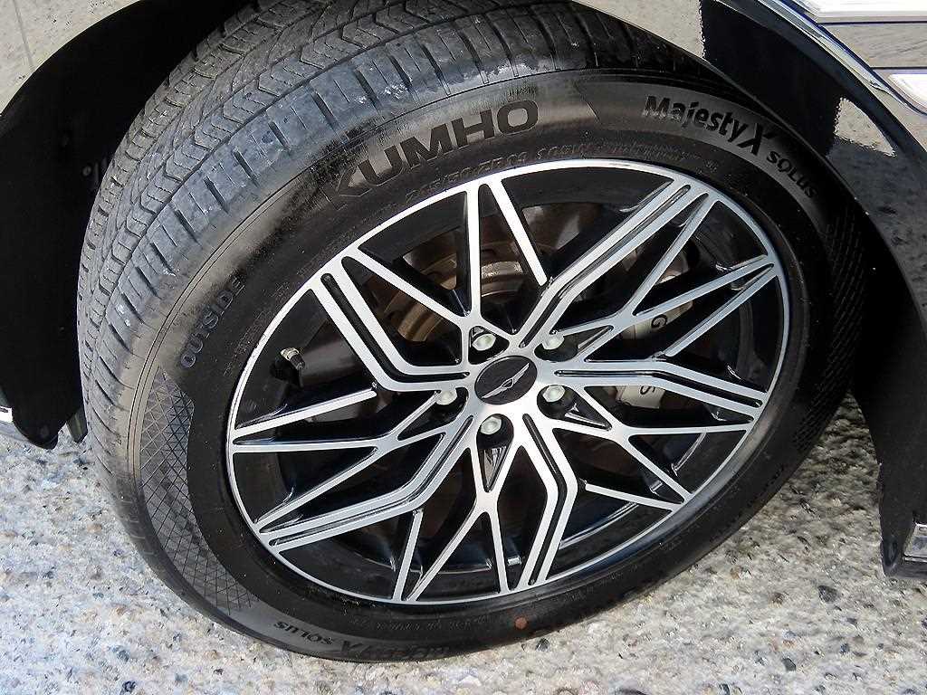 Genesis G90 — photo 20
