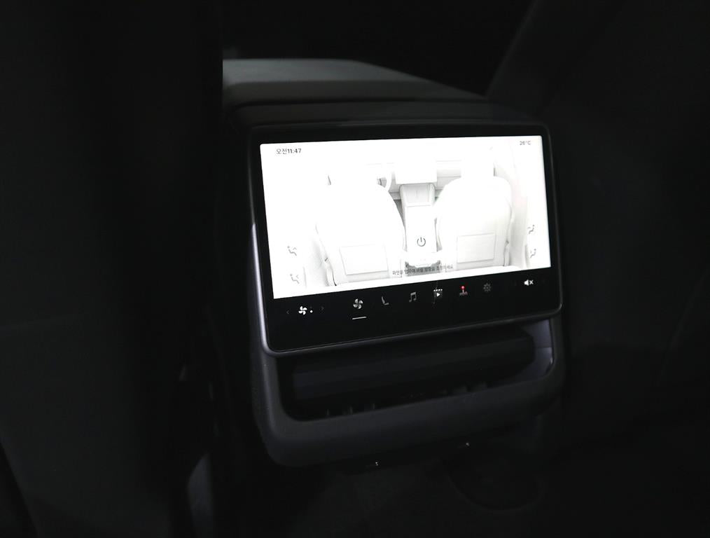 Tesla Model 3 — photo 16