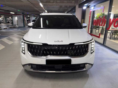 Kia Carnival — photo 02