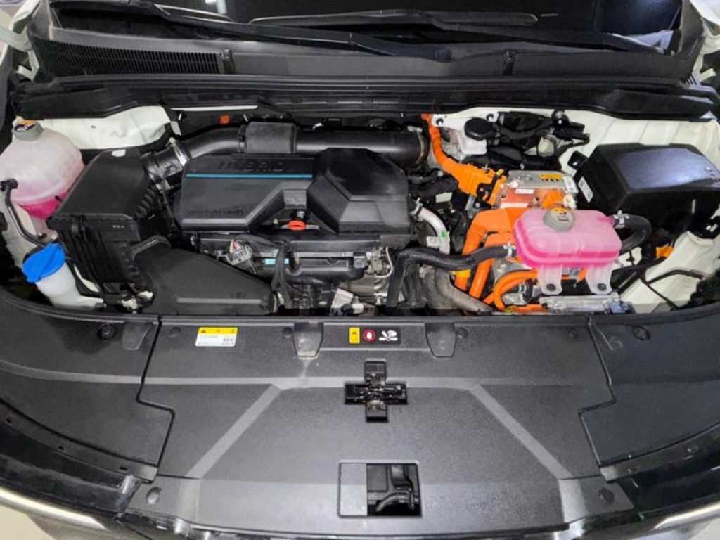 Kia Carnival — photo 19