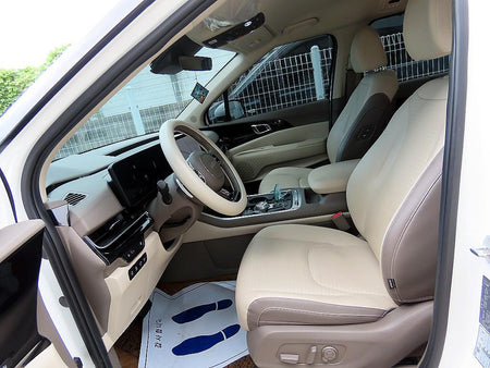 Kia Carnival — photo 05