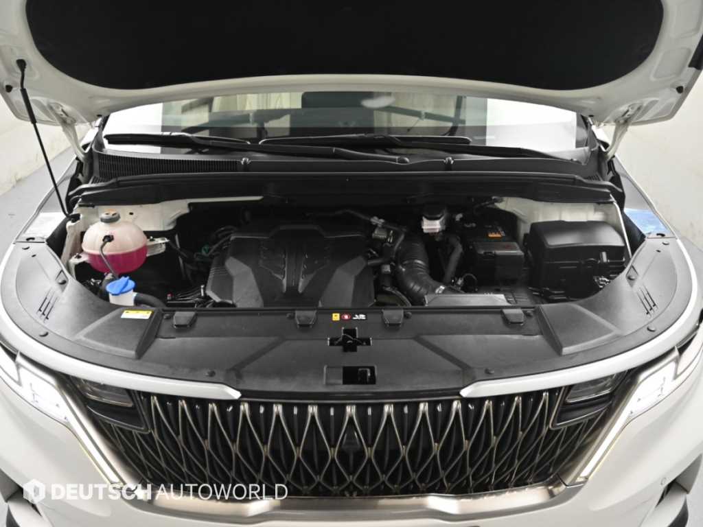 Kia Carnival — photo 06