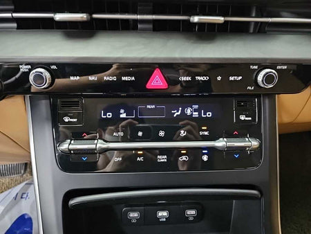 Kia Carnival — photo 10