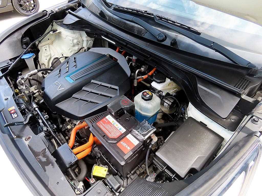 Kia Niro — photo 19