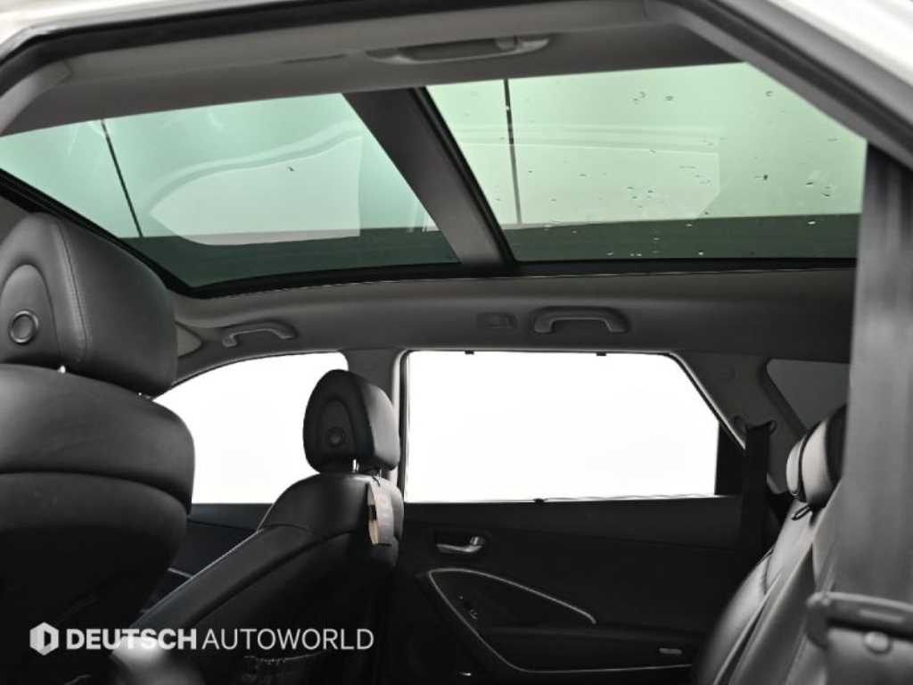 Hyundai Maxcruz — photo 18