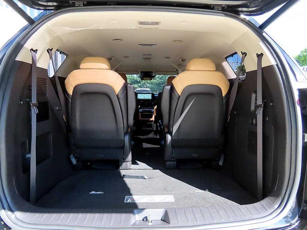 Kia Carnival — photo 16