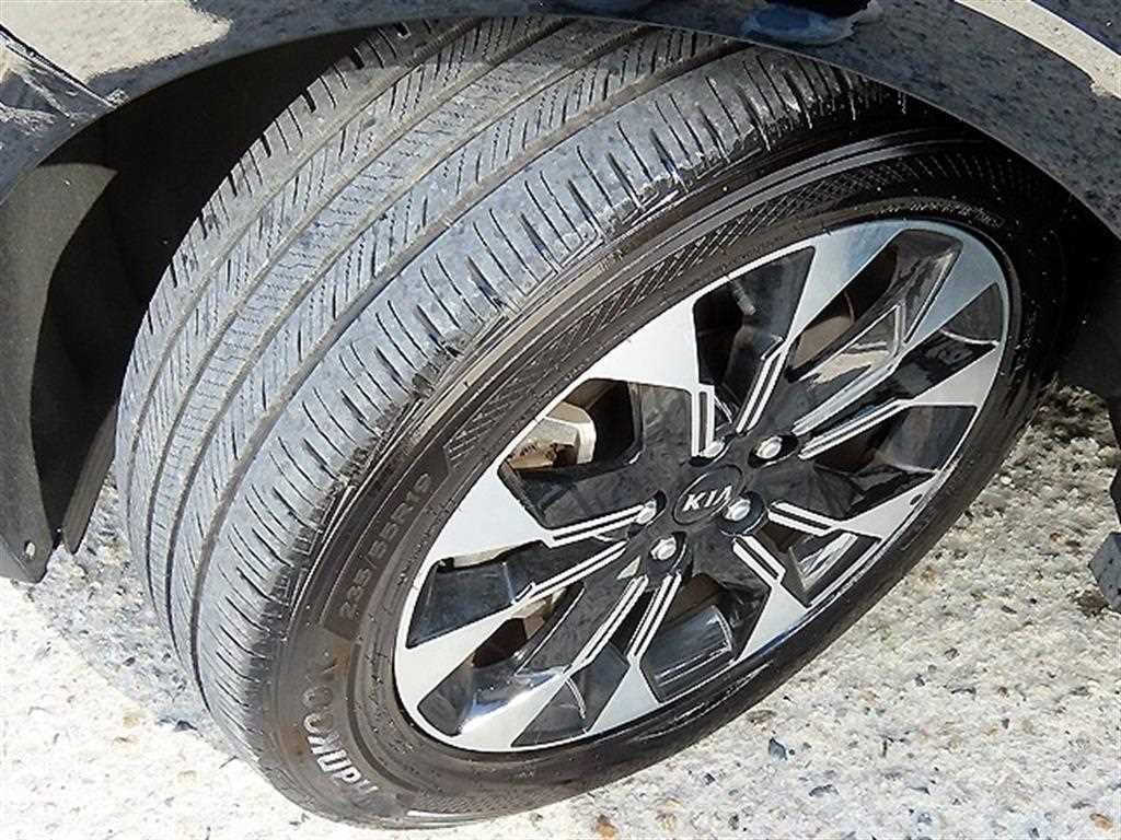 Kia Carnival — photo 20