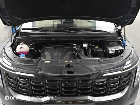 Kia Carnival — photo 06