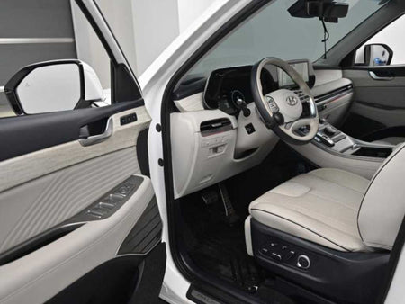 Hyundai Palisade — photo 11