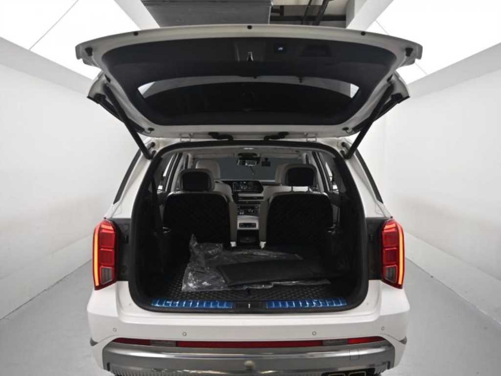 Hyundai Palisade — photo 19