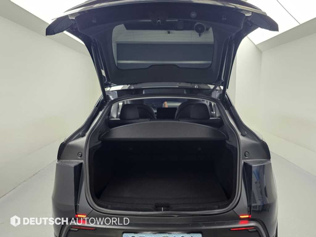 Tesla Model Y — photo 19