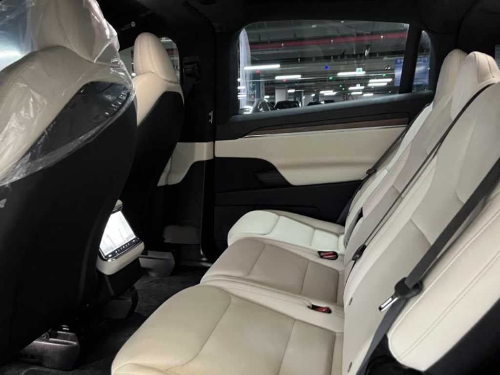 Tesla Model X — photo 08