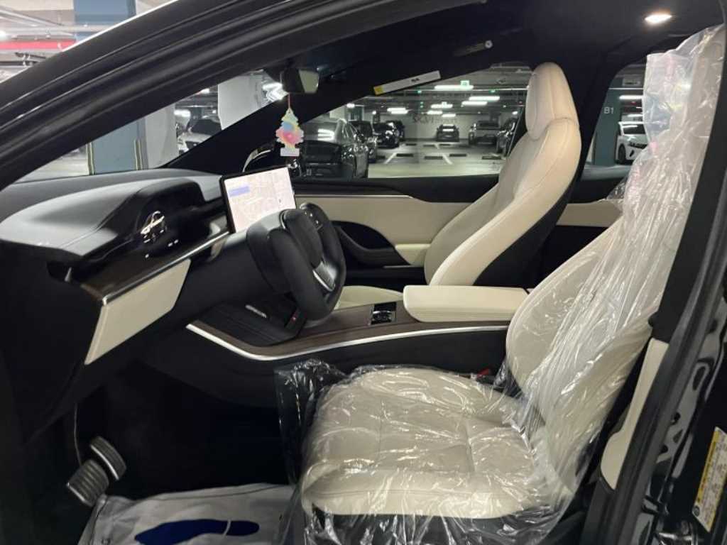 Tesla Model X — photo 12