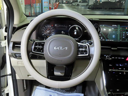 Kia Carnival — photo 08