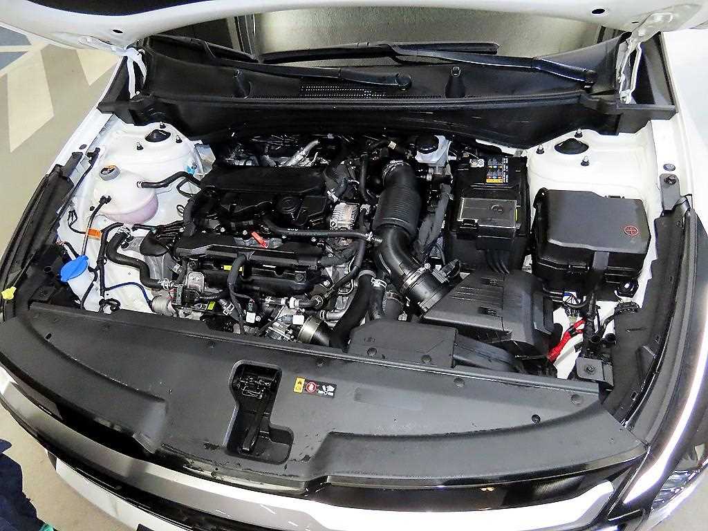 Kia Sportage — photo 19
