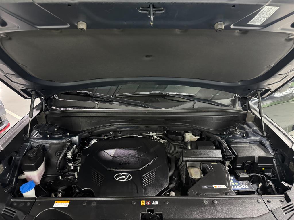 Hyundai Palisade — photo 20