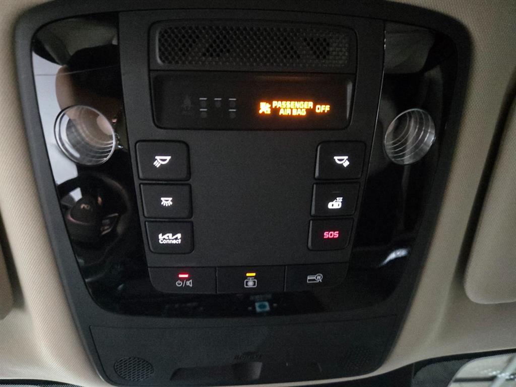 Kia Carnival — photo 14