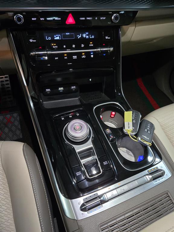 Kia Carnival — photo 15