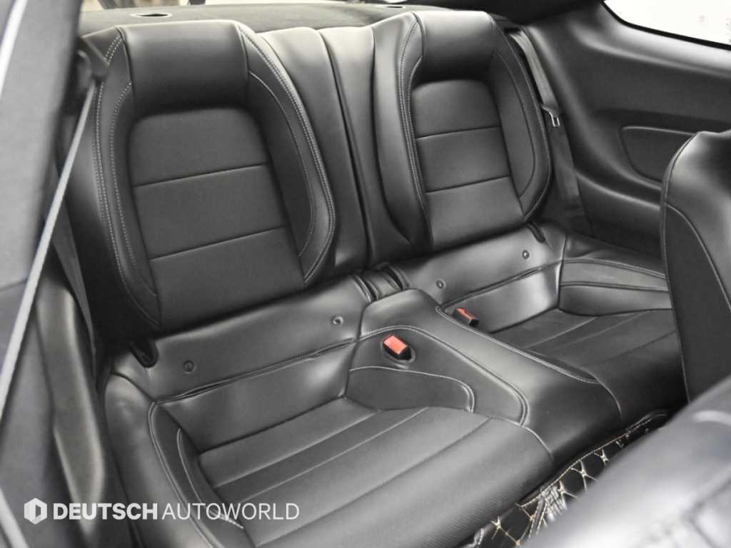 Ford Mustang — photo 12