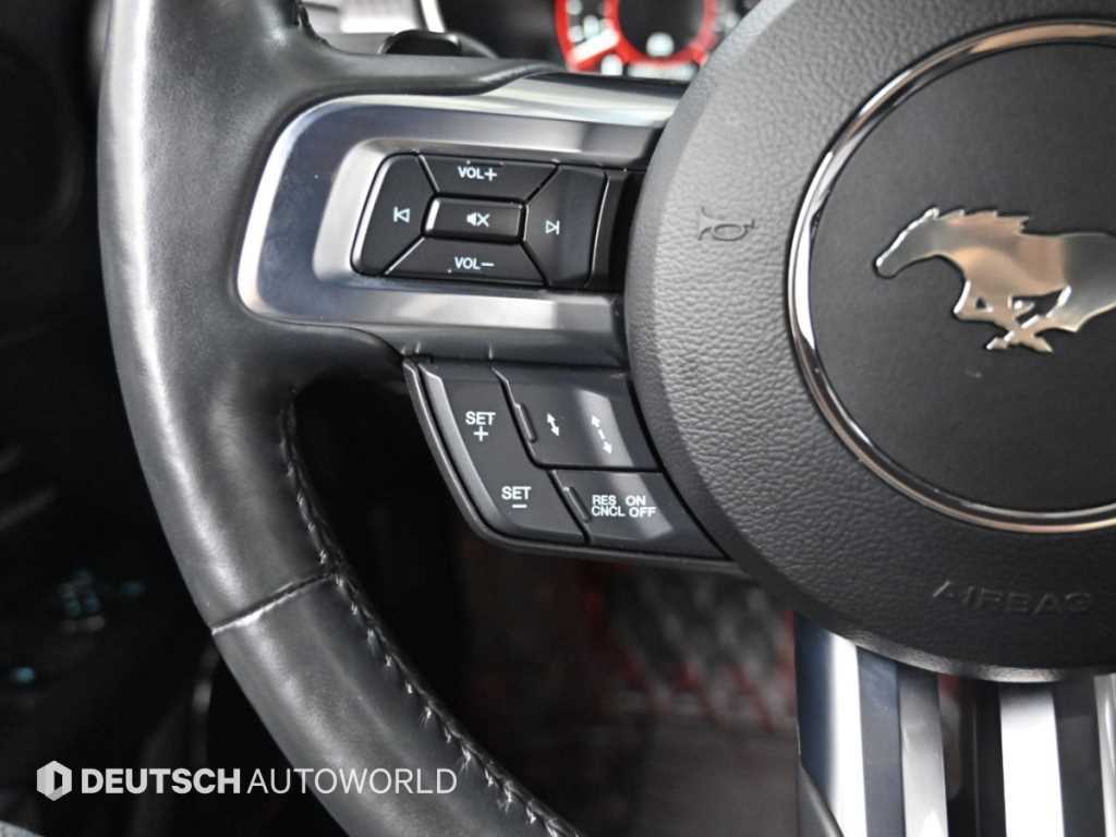 Ford Mustang — photo 16