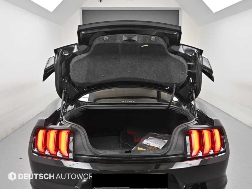 Ford Mustang — photo 19