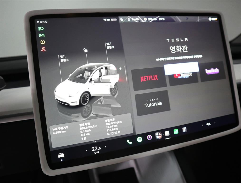 Tesla Model Y — photo 13