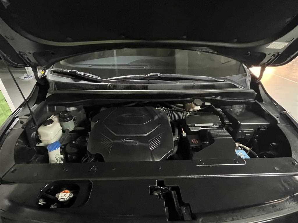 Kia Carnival — photo 05