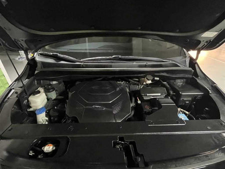 Kia Carnival — photo 05