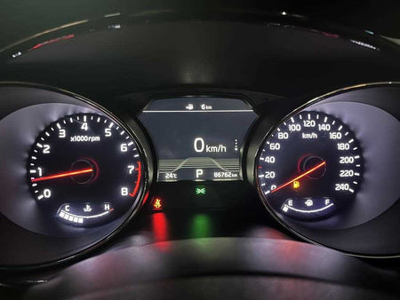 Kia Carnival — photo 06