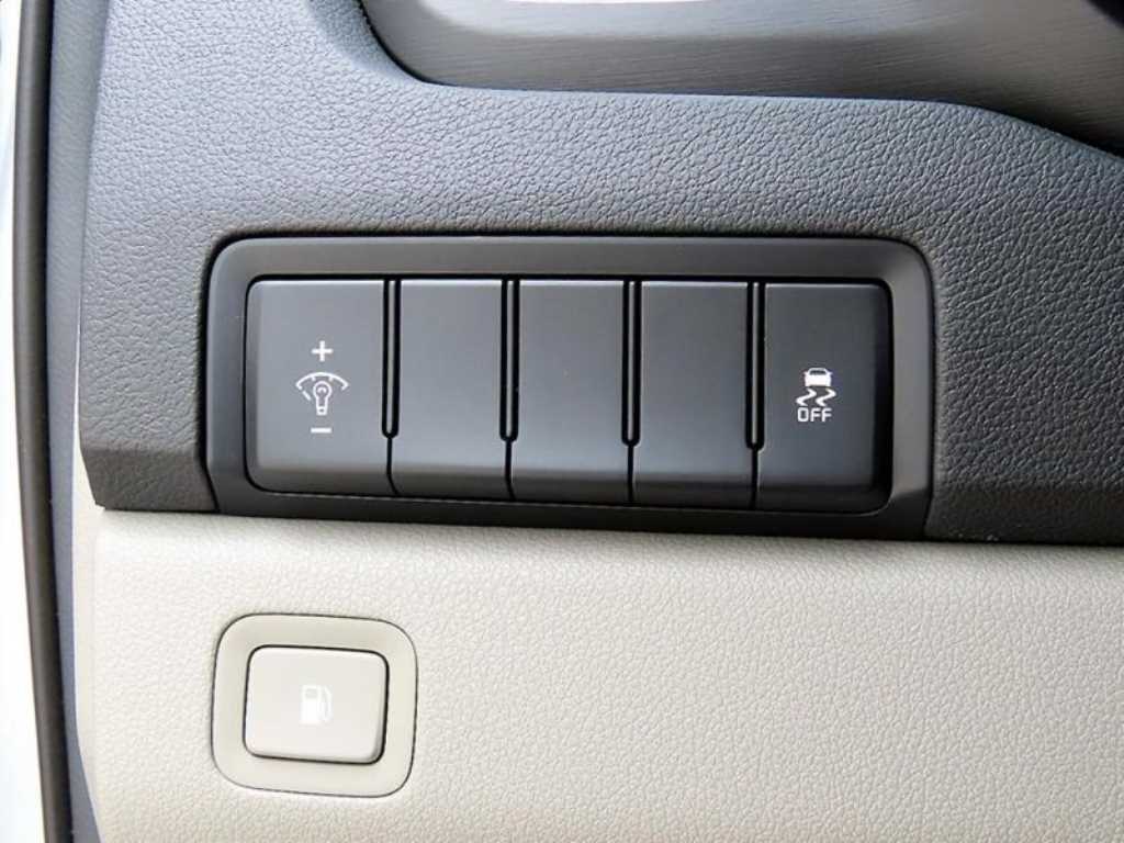 Kia Carnival — photo 13