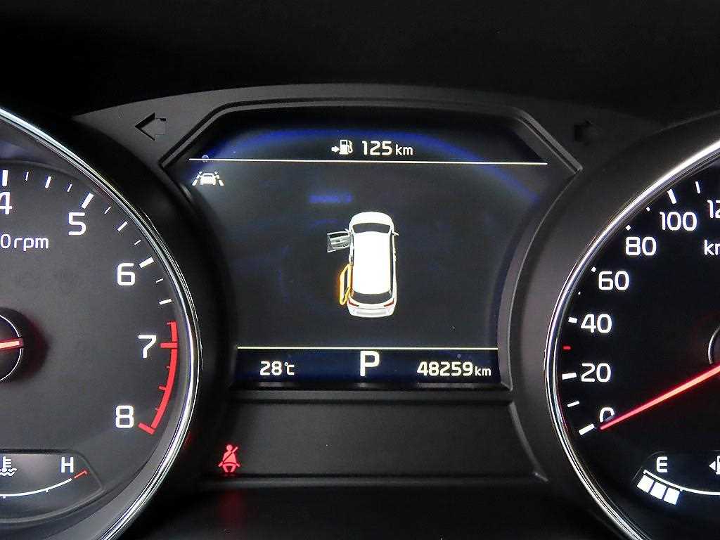 Kia Carnival — photo 09