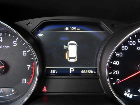Kia Carnival — photo 09