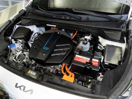 Kia Niro — photo 19