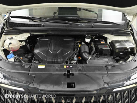 Kia Carnival — photo 06