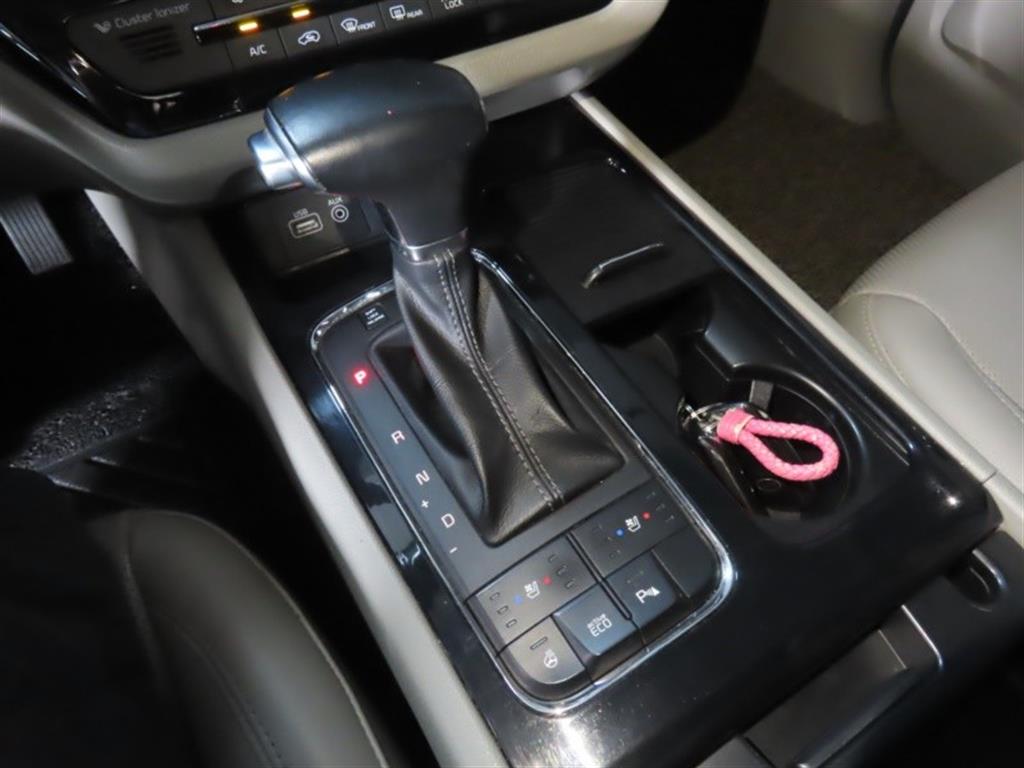 Kia Carnival — photo 06