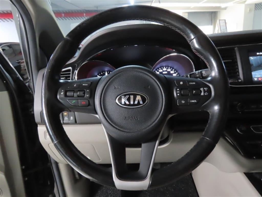 Kia Carnival — photo 15
