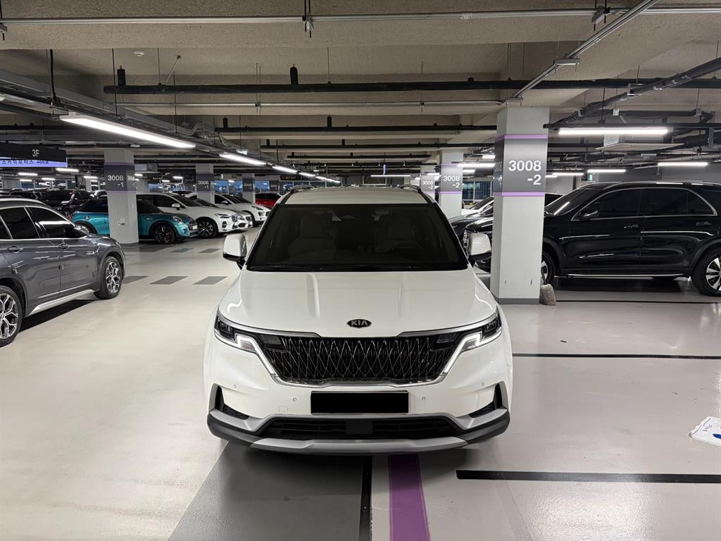 Kia Carnival — photo 01