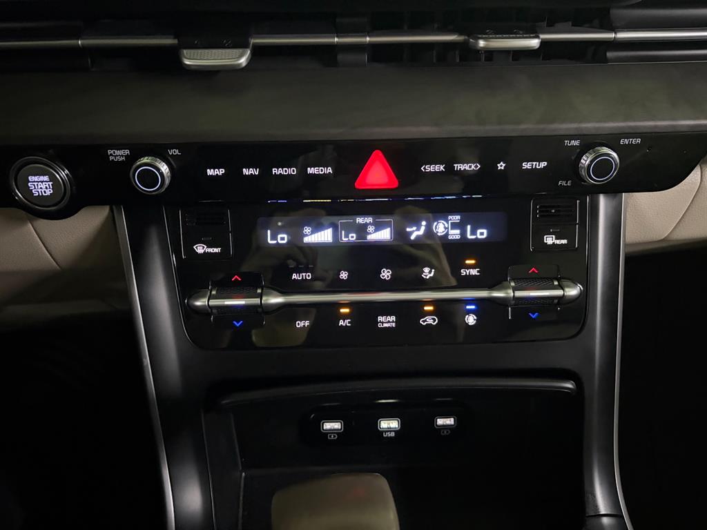 Kia Carnival — photo 11