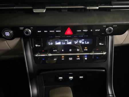 Kia Carnival — photo 11
