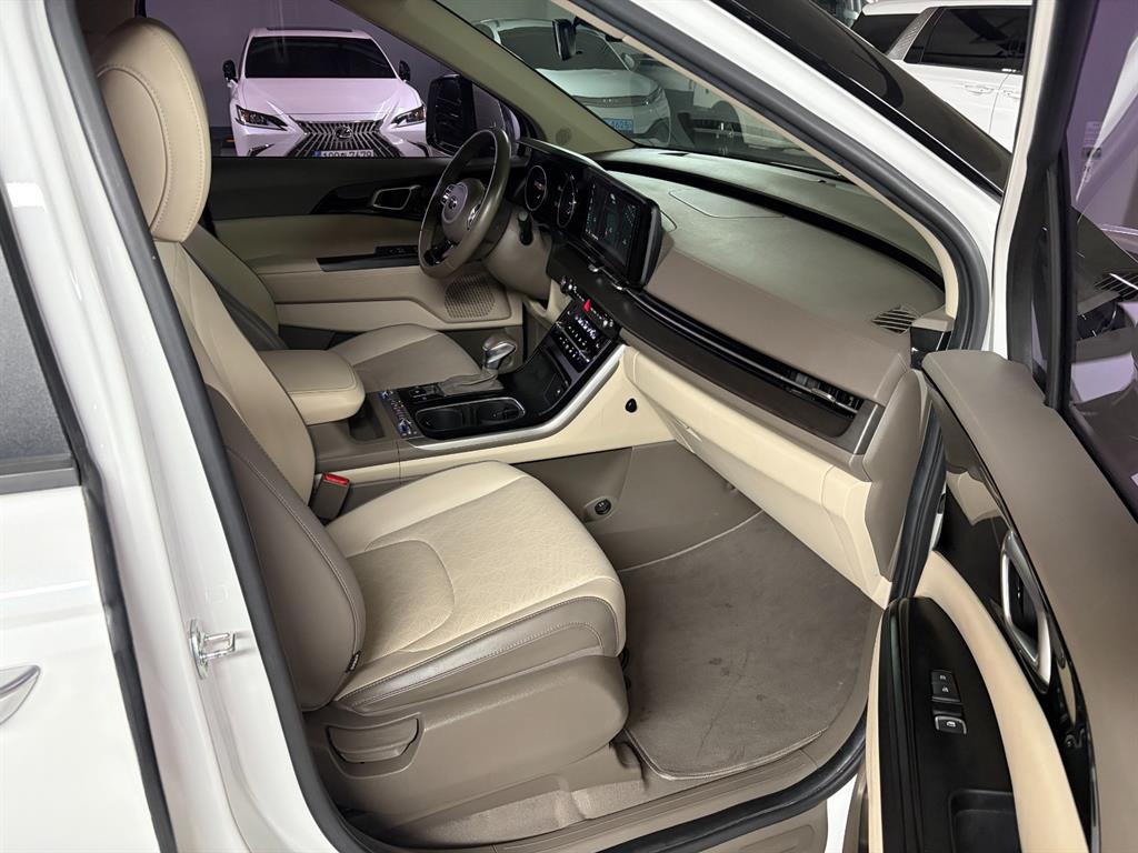 Kia Carnival — photo 14
