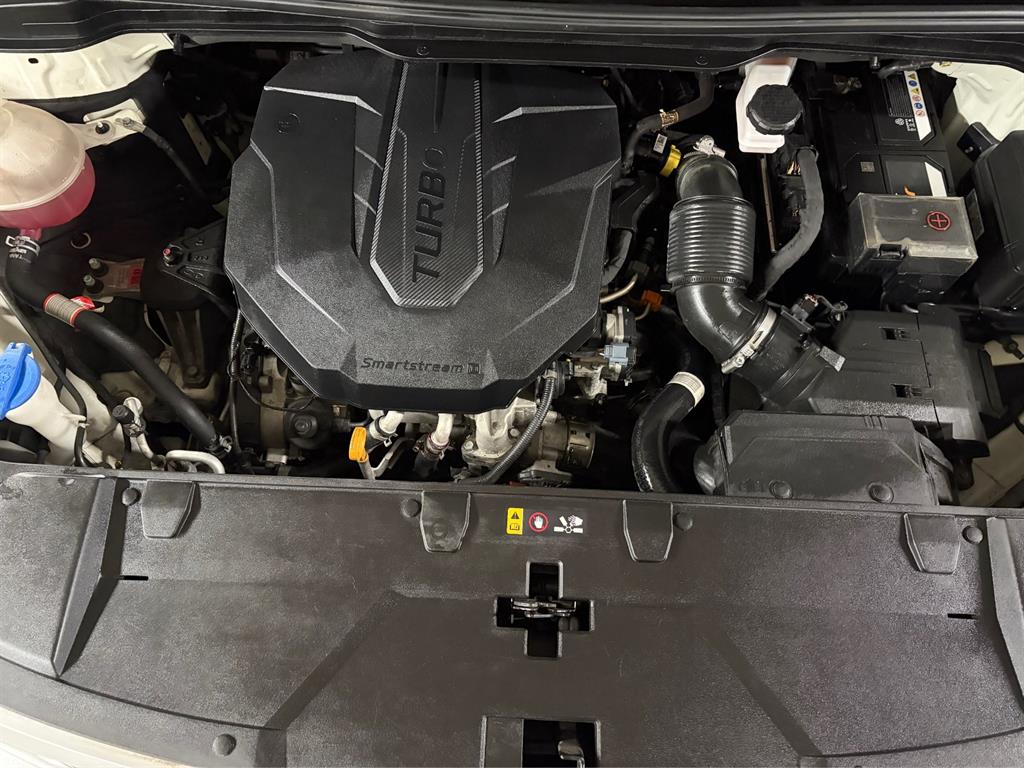 Kia Carnival — photo 20