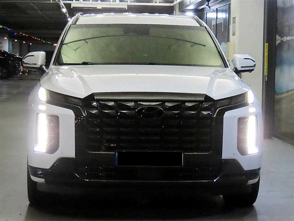Hyundai Palisade — photo 01